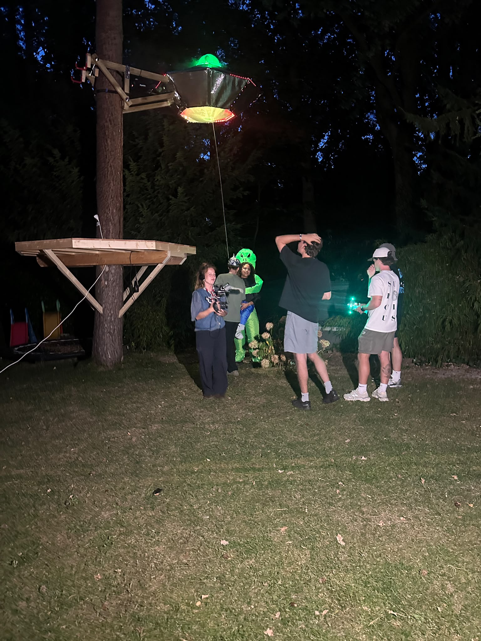 UFO Abduction Treehouse Entry System project detail