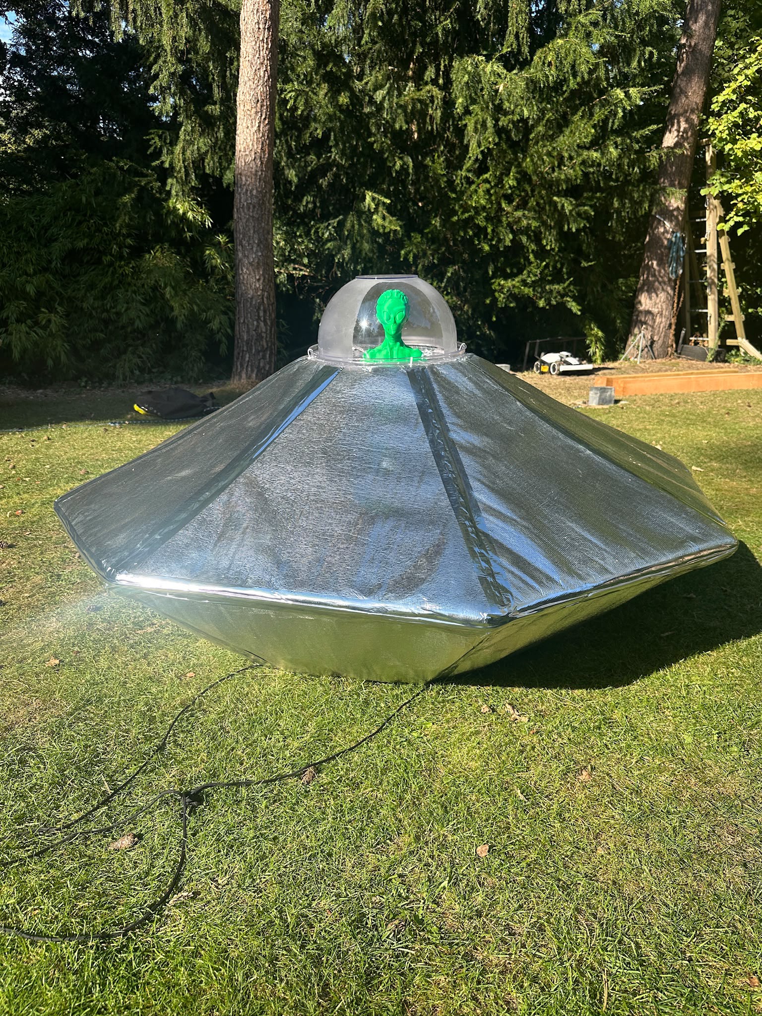 UFO Abduction Treehouse Entry System project detail