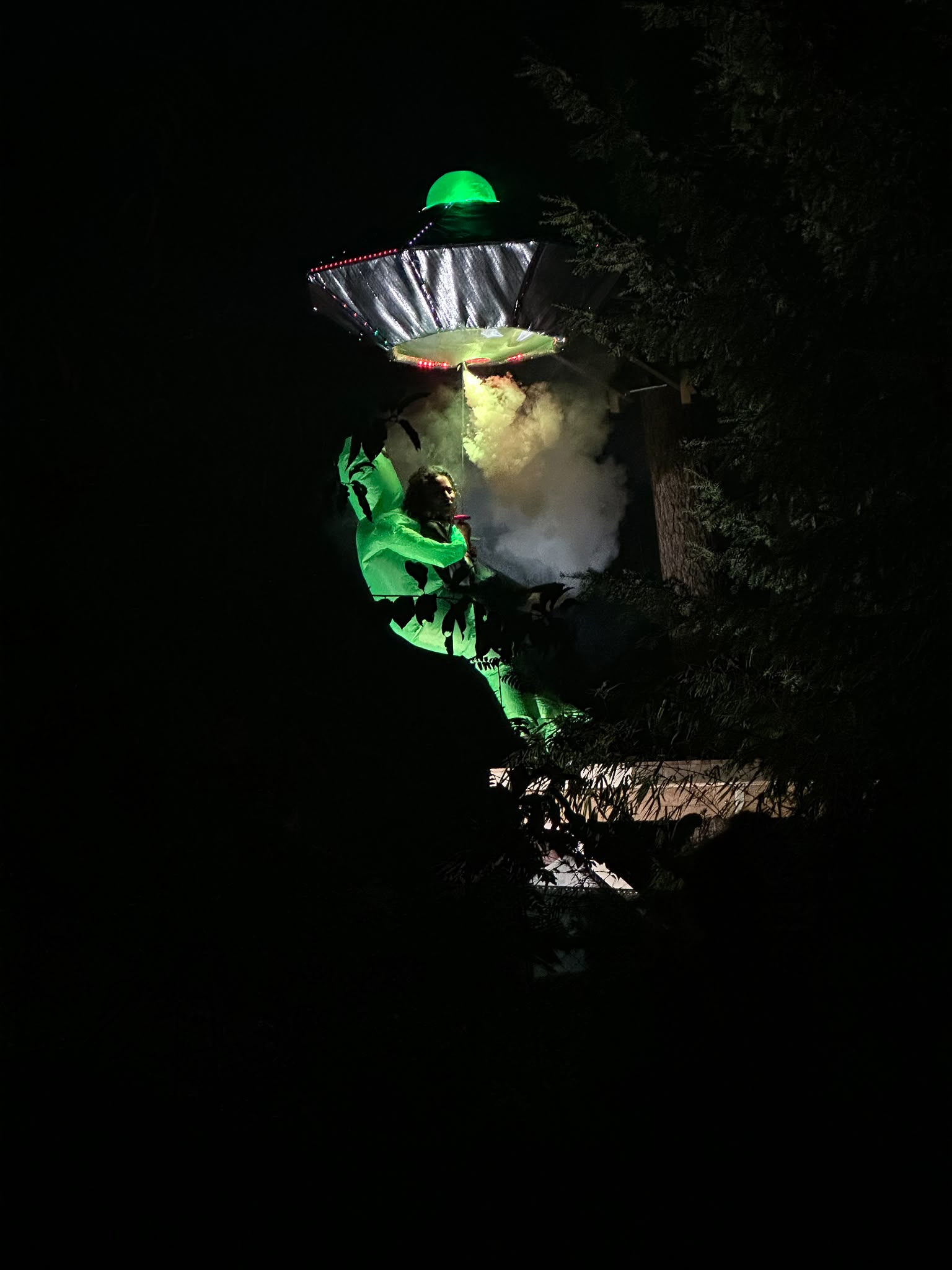 UFO Abduction Treehouse Entry System